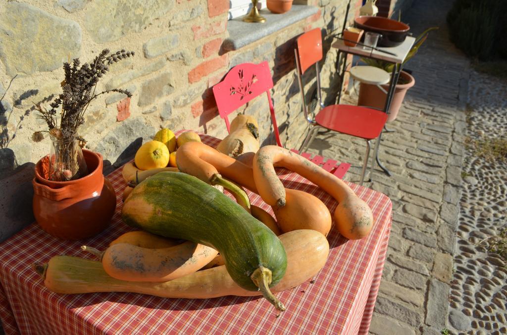 Cascina Il Convivio Vendégház Diano dʼAlba Kültér fotó
