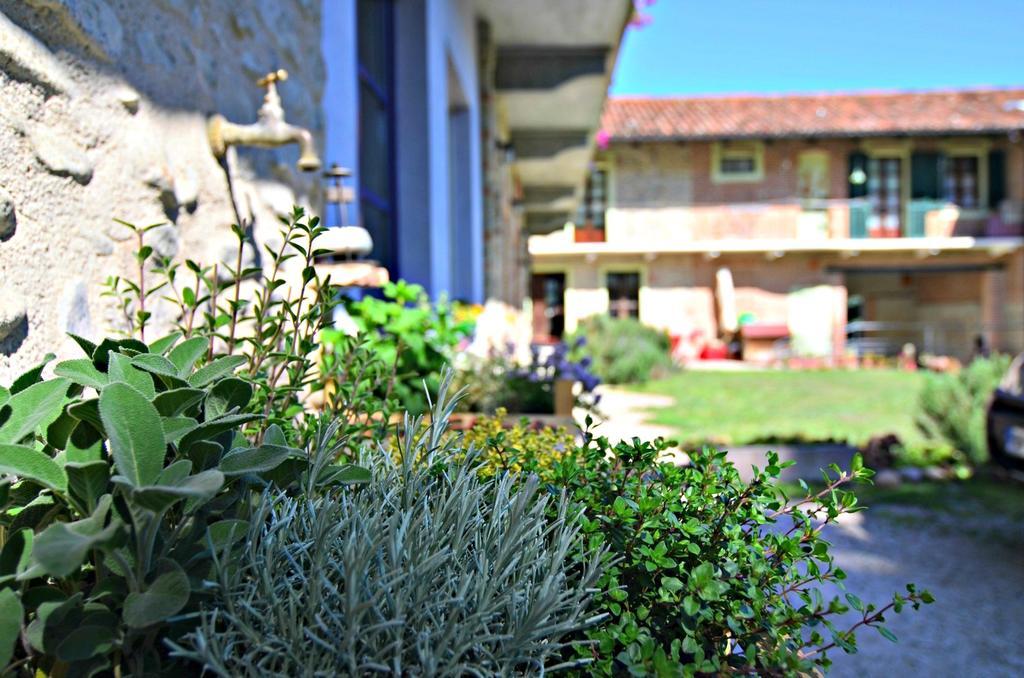 Cascina Il Convivio Vendégház Diano dʼAlba Kültér fotó