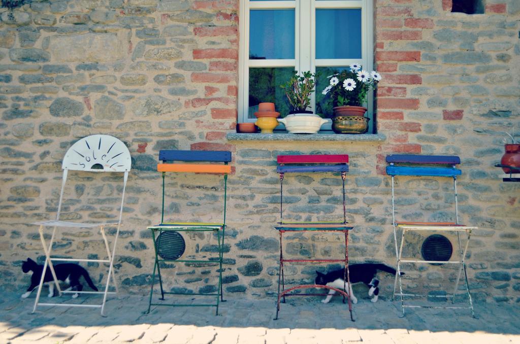 Cascina Il Convivio Vendégház Diano dʼAlba Kültér fotó