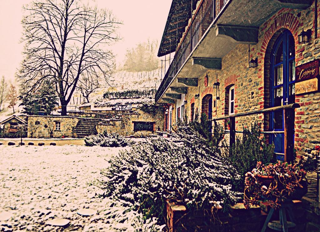 Cascina Il Convivio Vendégház Diano dʼAlba Kültér fotó