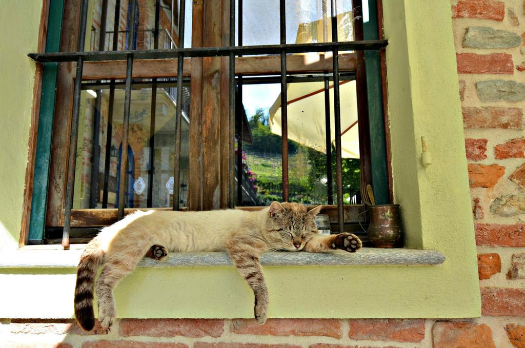 Cascina Il Convivio Vendégház Diano dʼAlba Kültér fotó